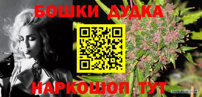 гашик Лесосибирск