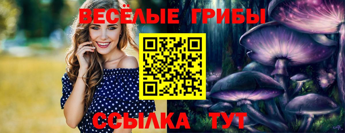 Галлюциногенные грибы Magic Shrooms  Вход с VPN  Зерноград 
